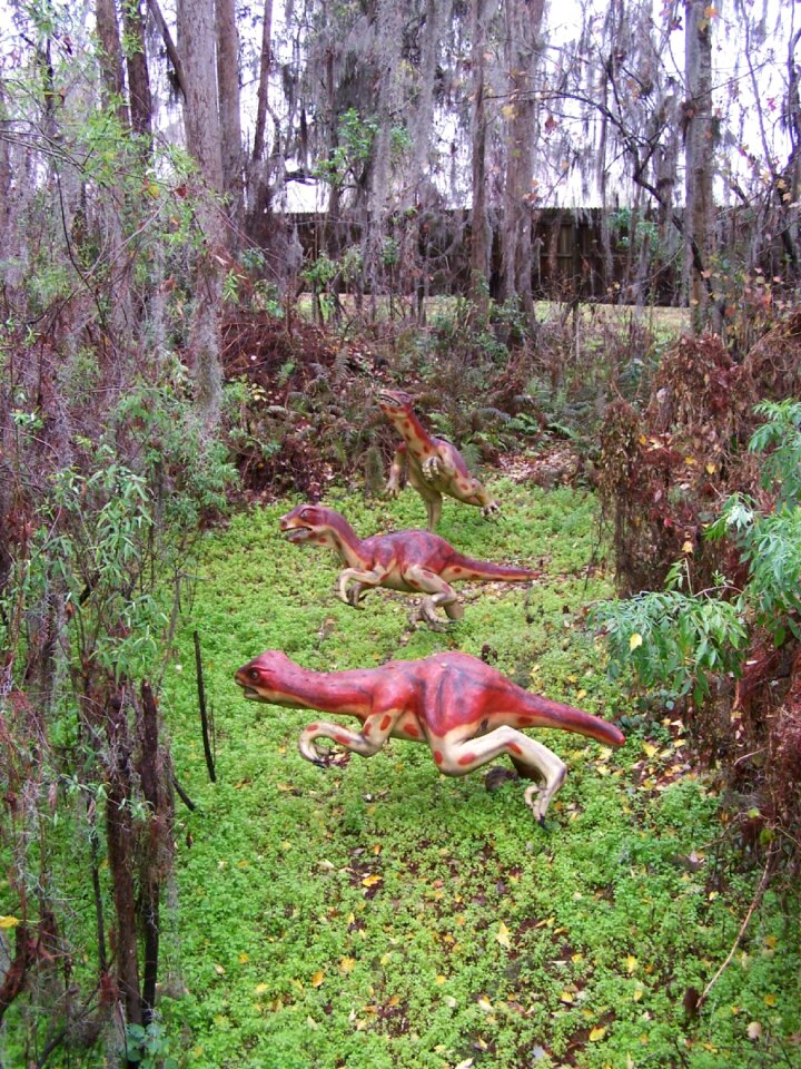 Florida attraction jurassic