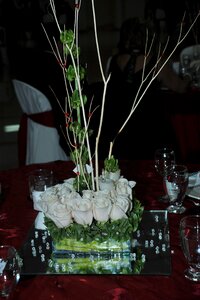 Decoration centerpiece roses