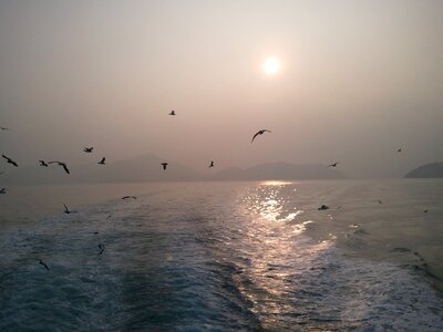 Times pleasure boat sea