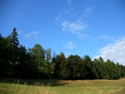 Sky blue green