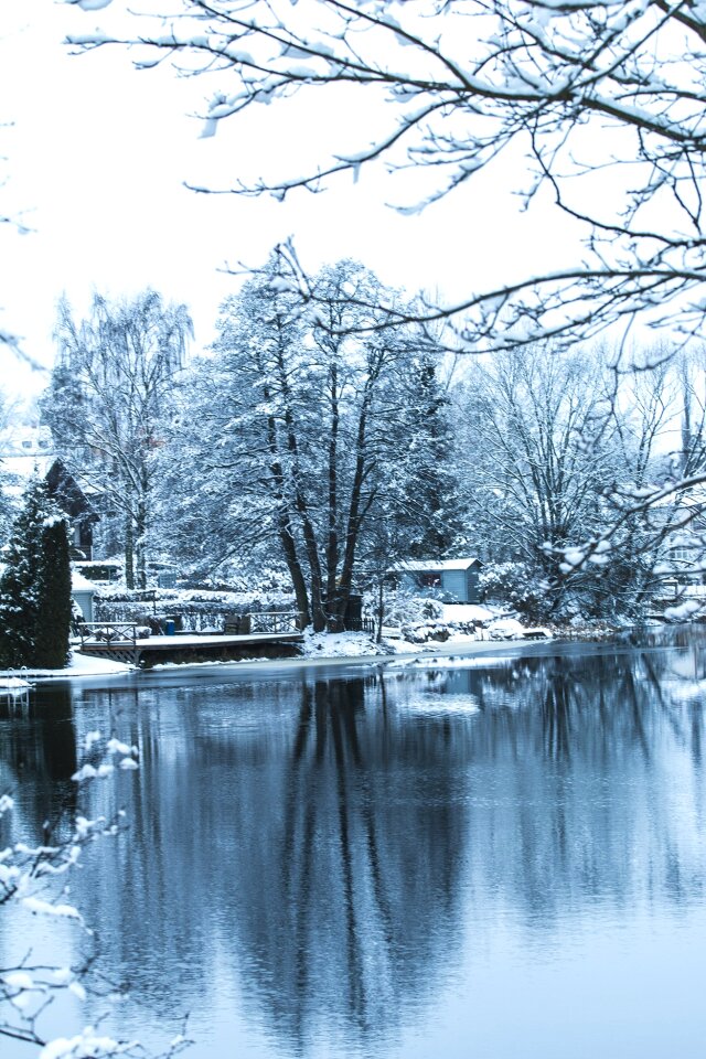 Lake water nature