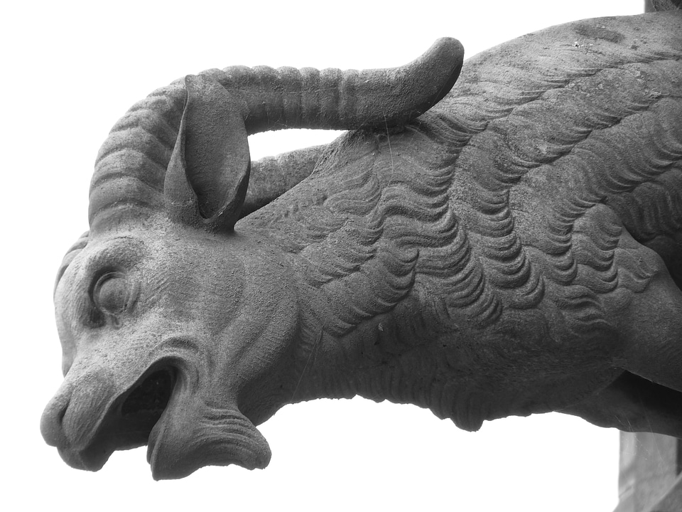 Mythical creatures water drainage