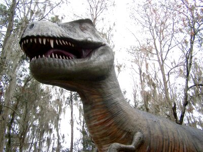 Florida attraction jurassic