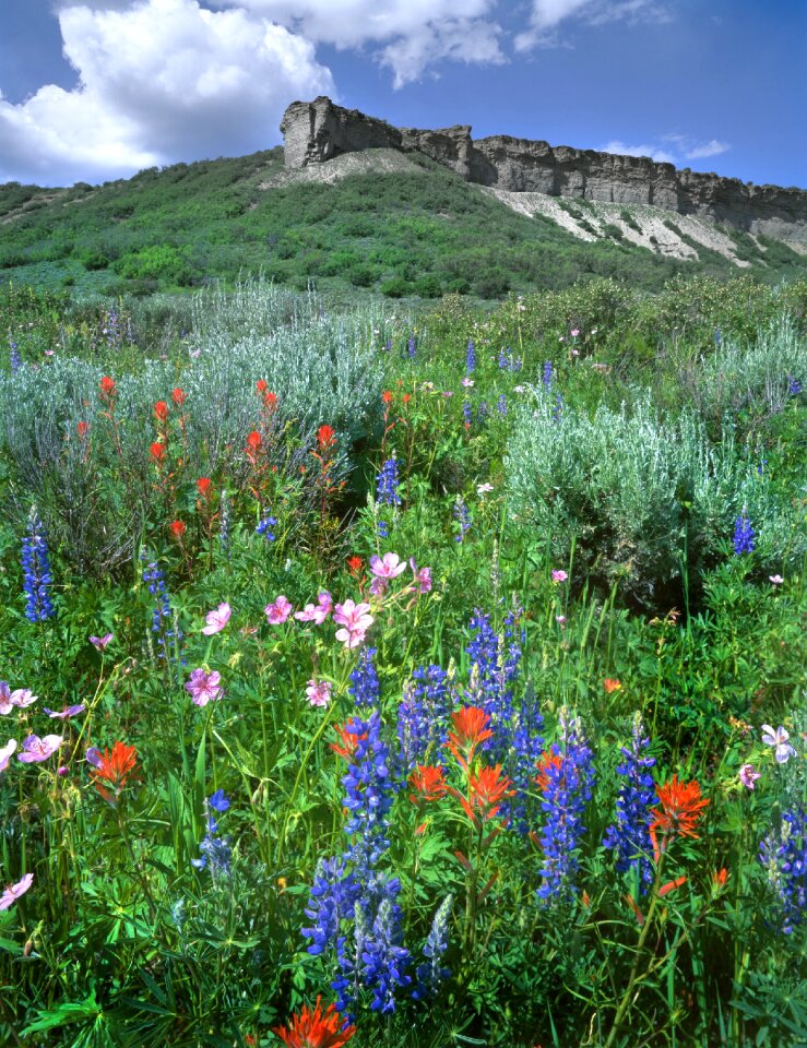 Flat top colorado