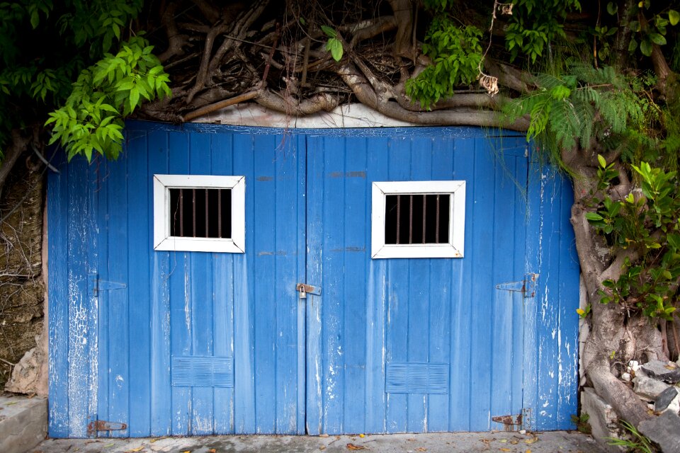 Historic tropical decorative