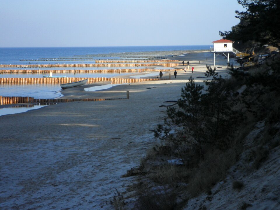 New protection measures pine