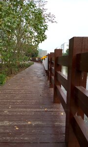 Spring hall bridge artistic conception