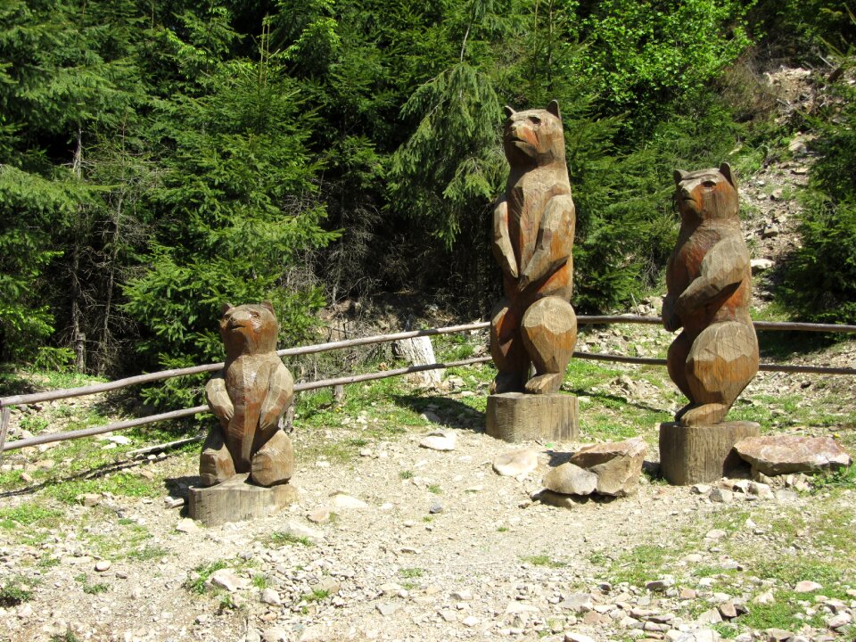 Reserve bears transcarpathia