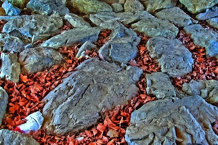 Stones leaves hdr image