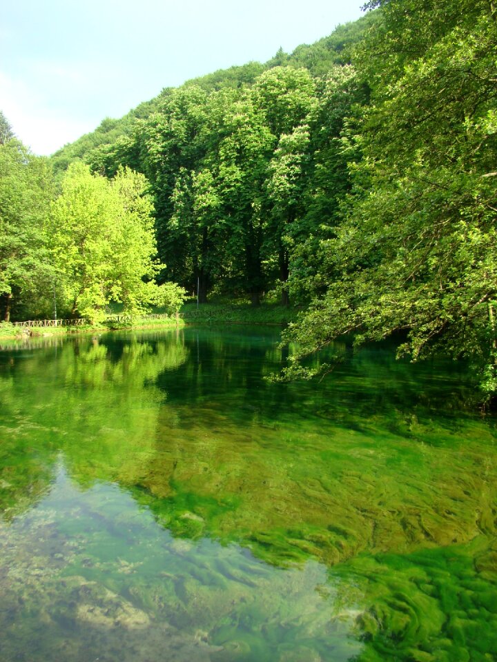 Pure green tranquil