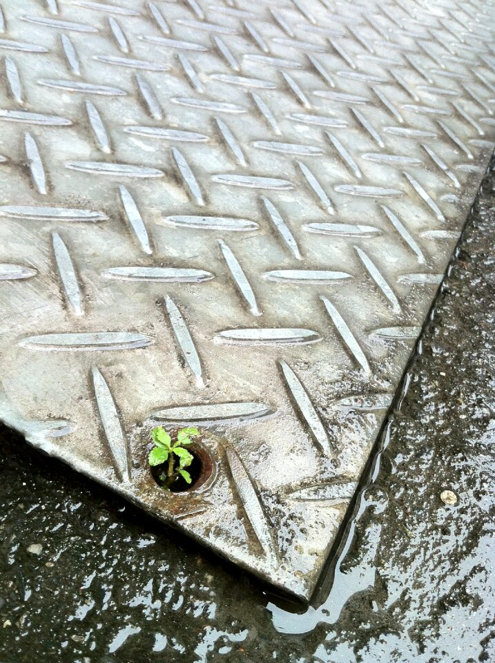 Life it's raining i manage
