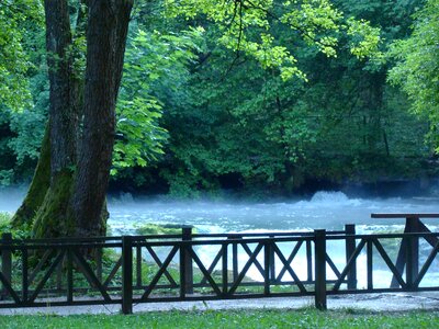 Tranquil spring