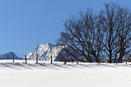 High tauern winter snow photo