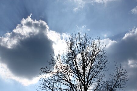 Branches clearances clouds