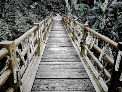 Bridge ljs wood