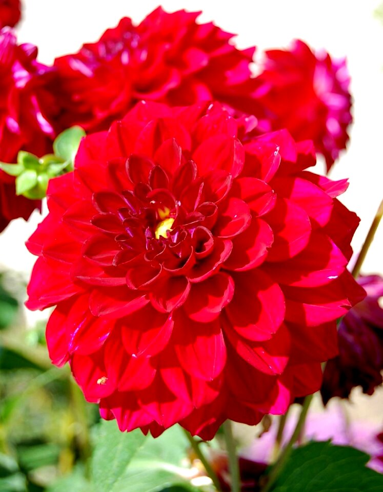 Nature colorful color