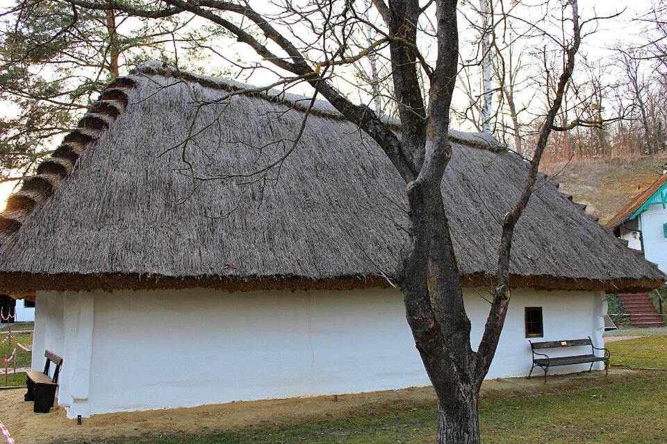 Thatched roof straw roof straw