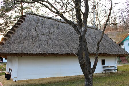 Thatched roof straw roof straw