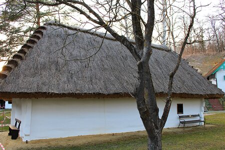 Thatched roof straw roof straw photo