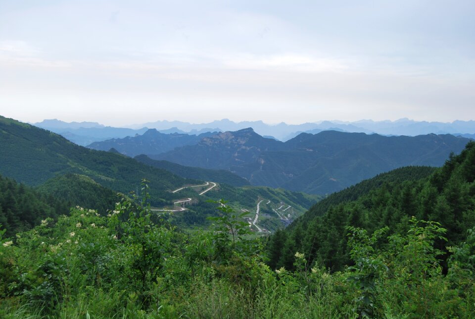 Green distance winding road
