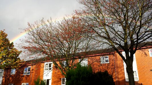 Outdoor brown rainbow