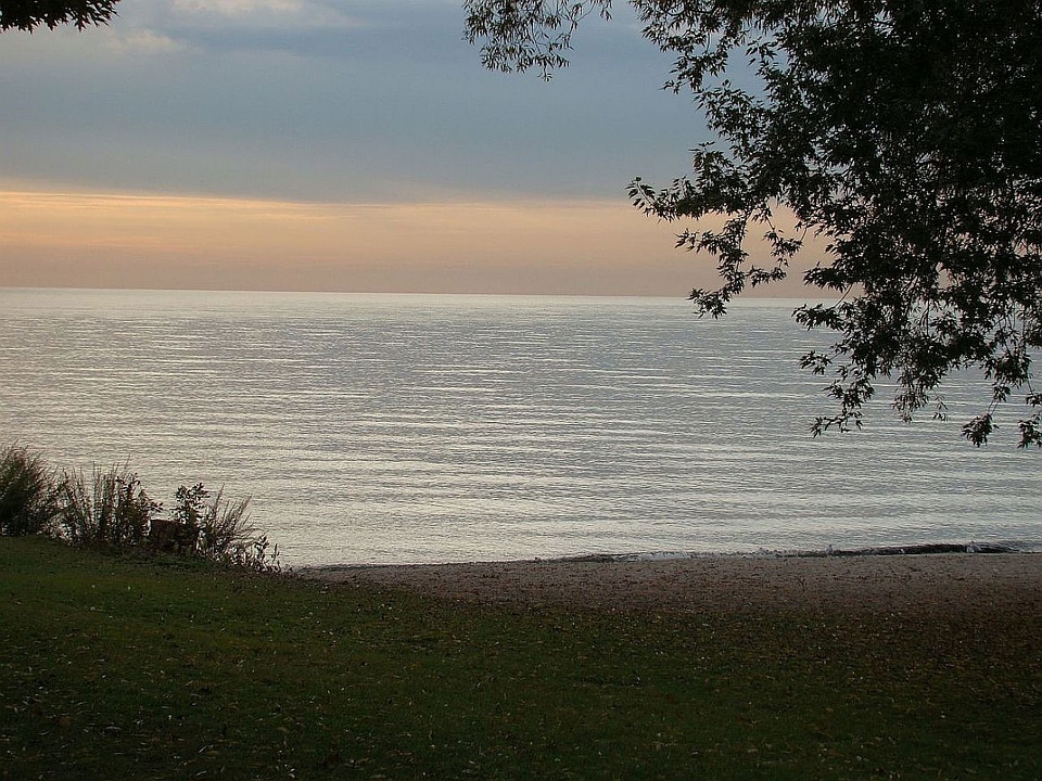 Tree coast dusk
