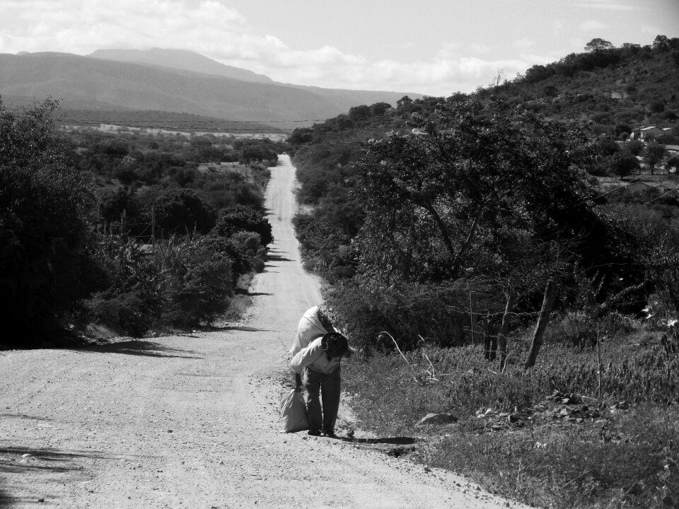 Backcountry road dry