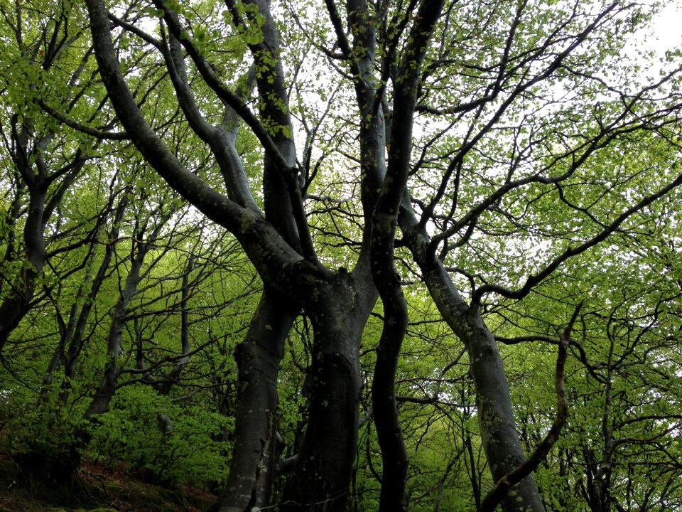 Nature sierracantabria euskadi