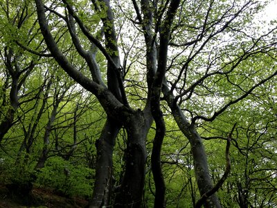 Nature sierracantabria euskadi