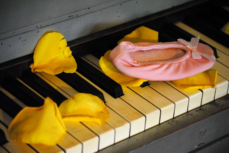 Ballet ballet dancer ballet slipper