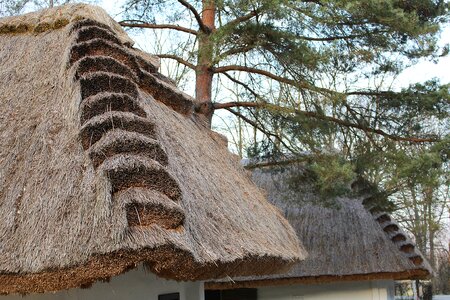 Thatched roof straw roof straw