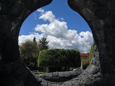 Sunny tree clouds