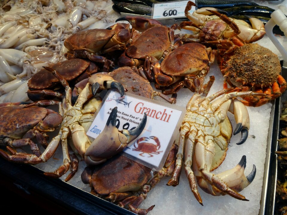 Market sea animals venice