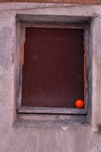 Building orange fruit
