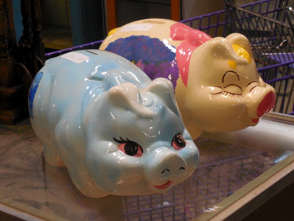 Currency piggybank pig