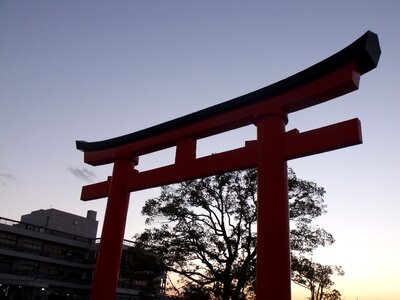 Torii at dusk shrine