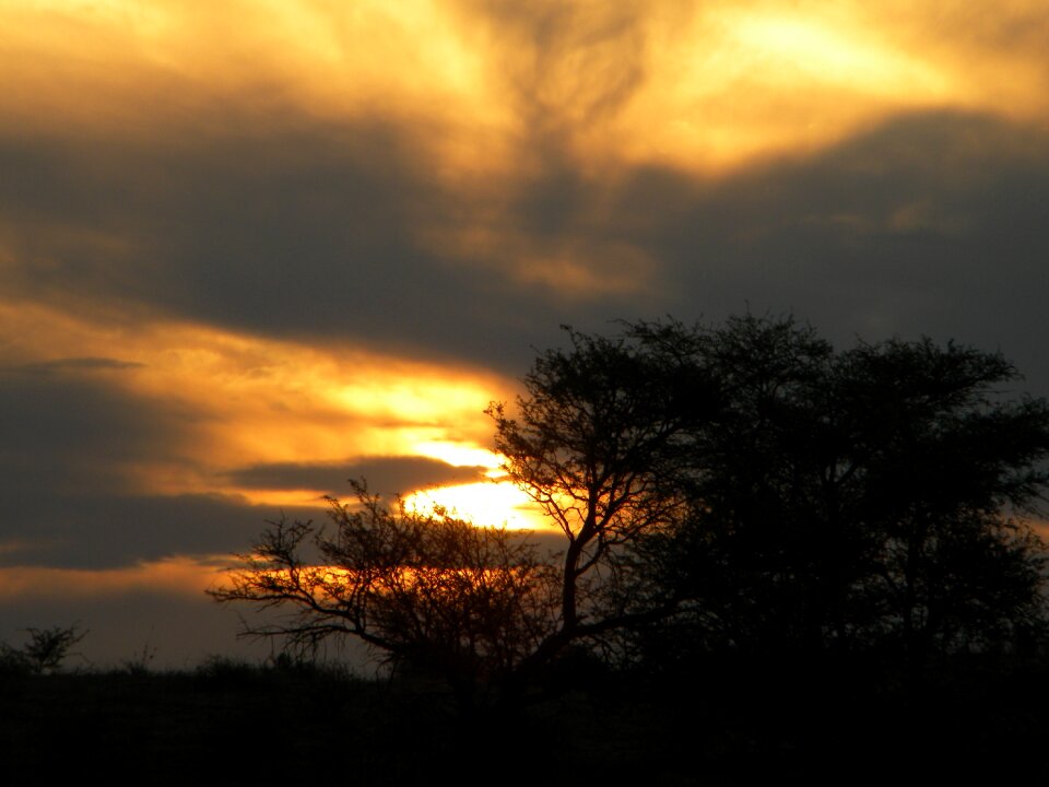 Landscape sky sunlight