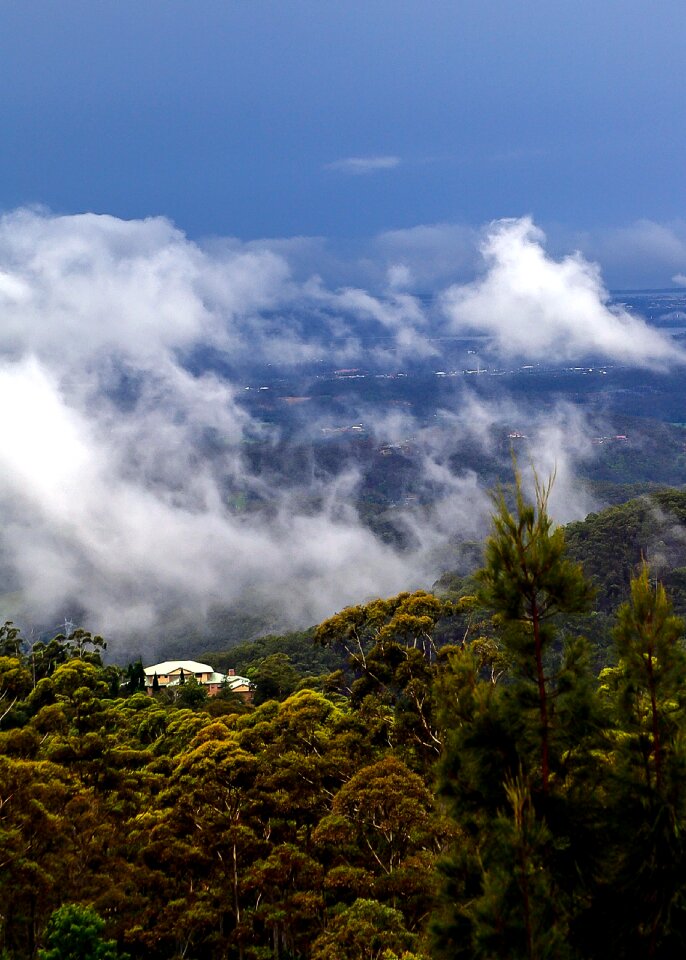 Hills trees house