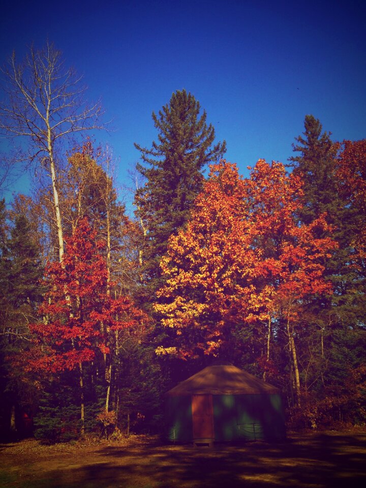 Nature season leaf