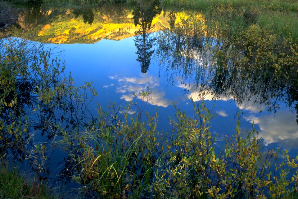 Scenic autumn colorado
