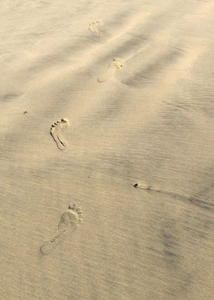 Beach nature coastal