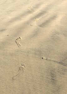 Beach nature coastal