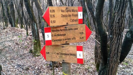 Forest of wood sign