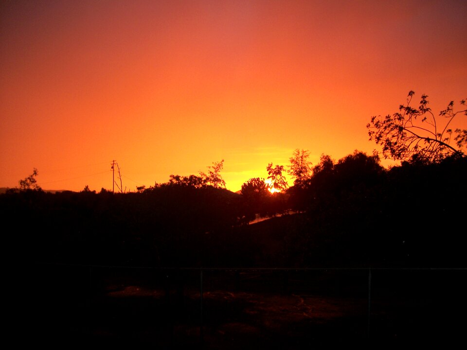 Black landscape red
