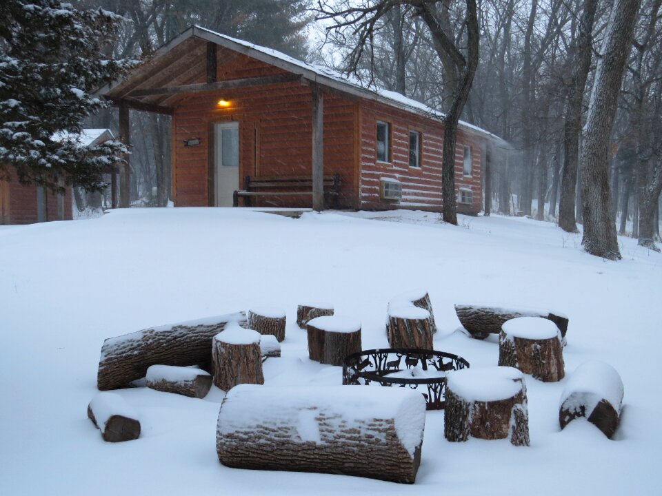 Campfire woods forest