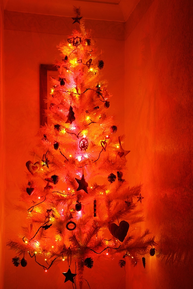 Light lights ornaments