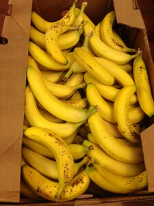 Plantain brown banana