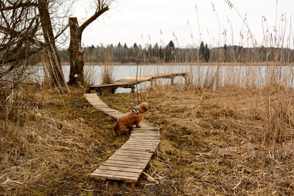Sidewalk bank lake