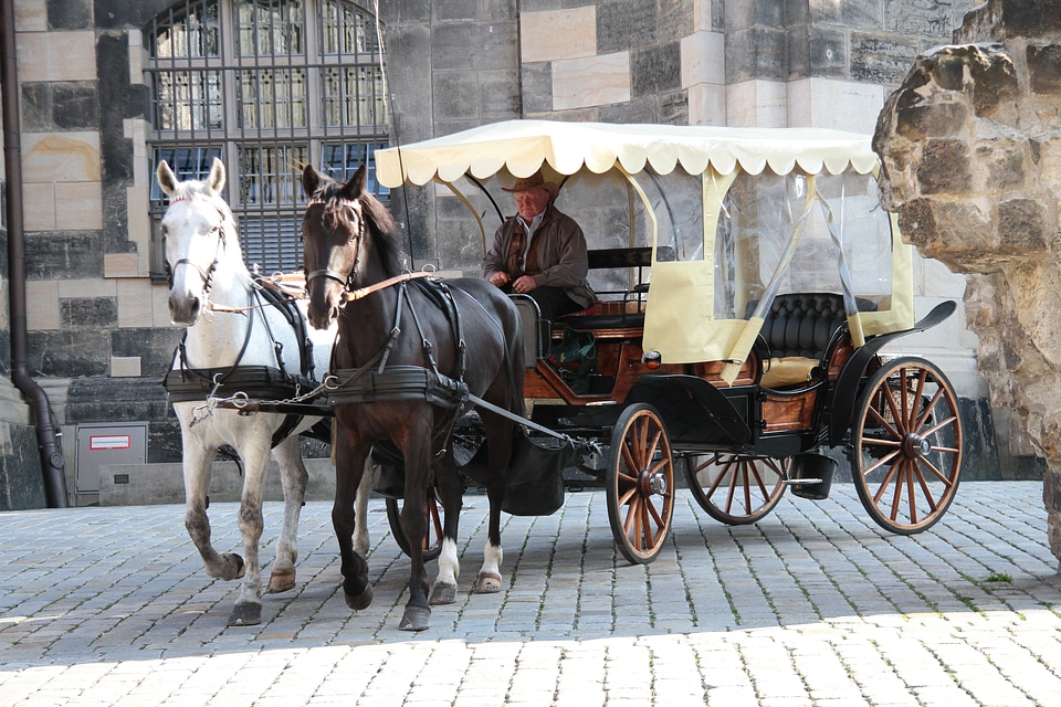 Carriage horse drawn street