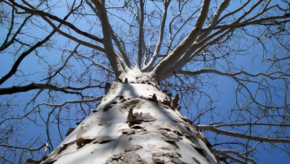 Season blue outdoor photo